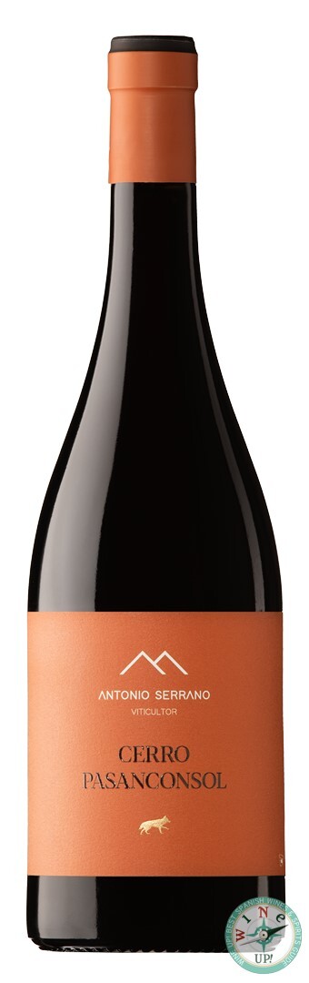 ANTONIO SERRANO CERRO PASACONSOL 2023