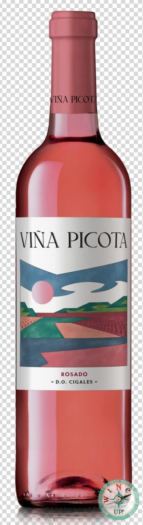 VIÑA PICOTA 2024