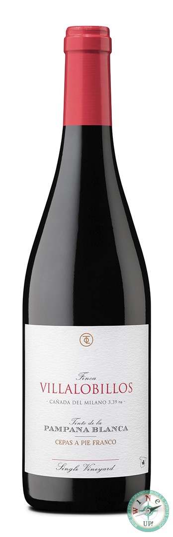 FINCA VILLALOBILLOS TINTO PAMPANA BLANCA 2021