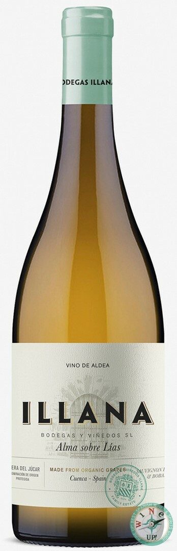 ILLANA ALBA 2024