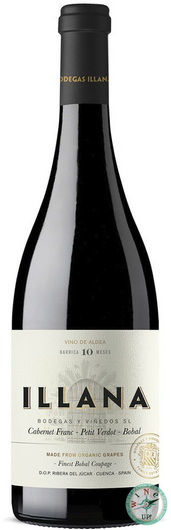 ILLANA 10 MESES 2022