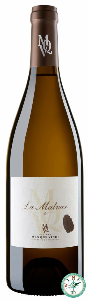 LA MALVAR DE MÁS QUE VINOS 2023