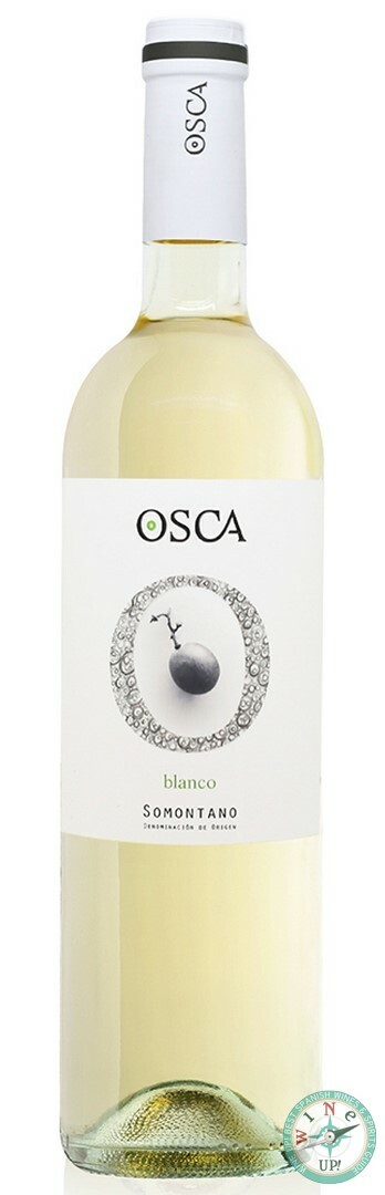 OSCA BLANCO 2024