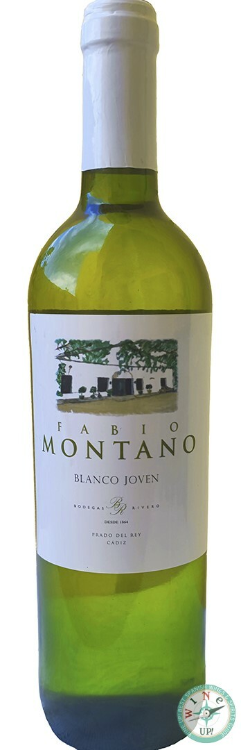 FABIO MONTANO BLANCO JOVEN 2024