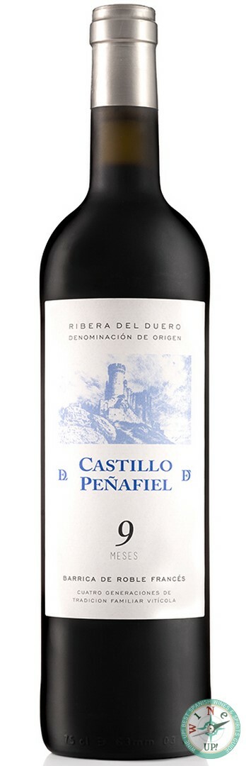 CASTILLO DE PEÑAFIEL 9 MESES 2023