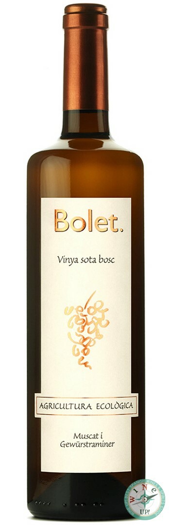 BOLET VINYA SOTA BOSC ECO 2024