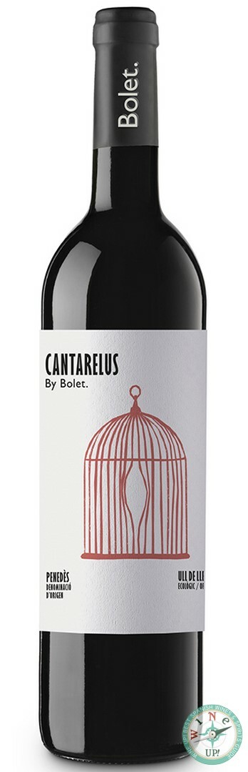 BOLET CANTARELUS ULL DE LLEBRE ECO 2021