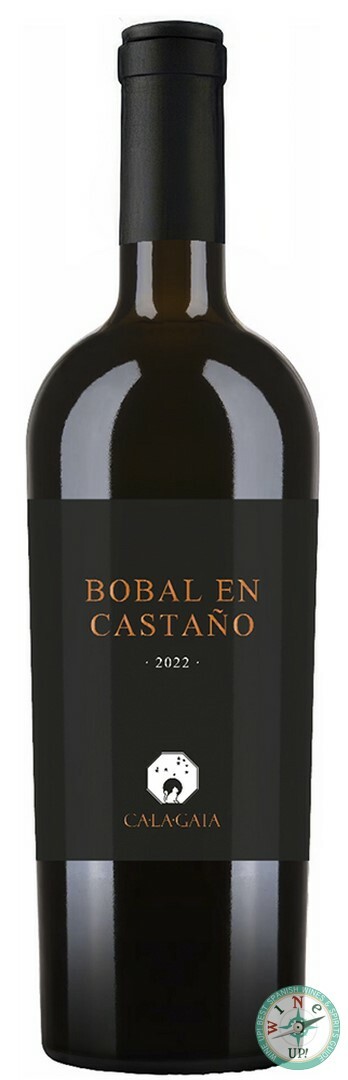 CALAGATA BOBAL EN CASTAÑO 2022
