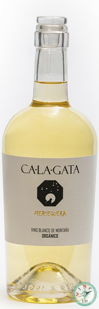 CALAGATA MERSEGUERA 2023