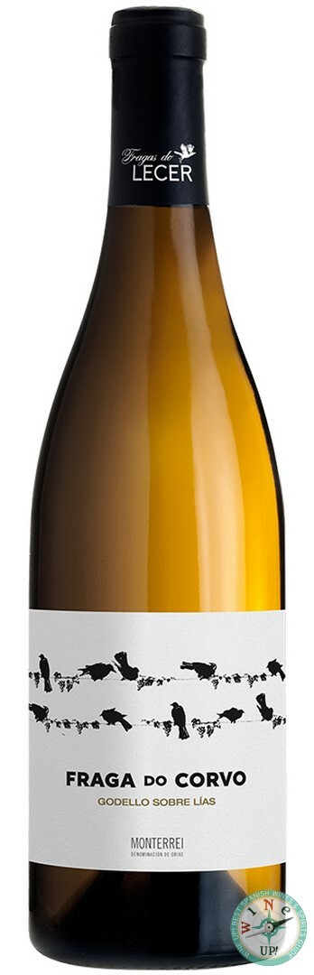 FRAGA DO CORVO GODELLO 2024