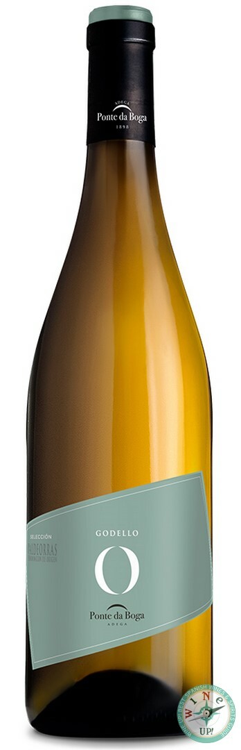 O DE GODELLO 2024