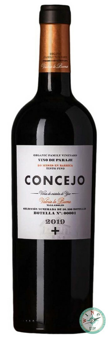 CONCEJO VINO DE PARAJE 2019