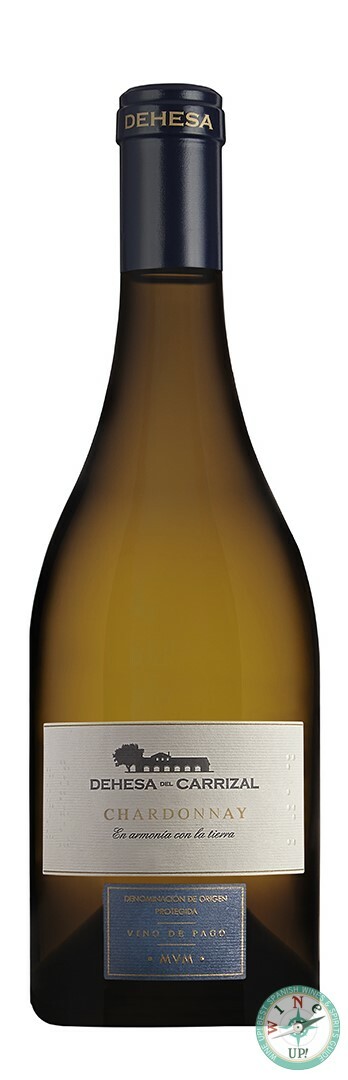 DEHESA DEL CARRIZAL CHARDONNAY 2022