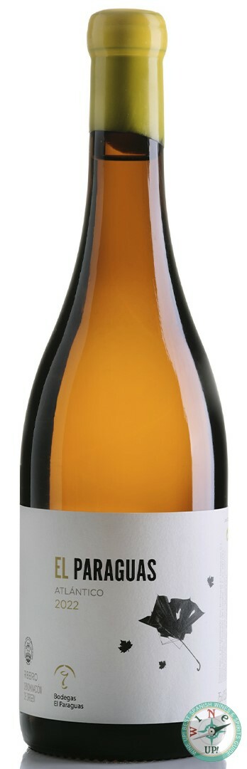 EL PARAGUAS ATLÁNTICO 2022
