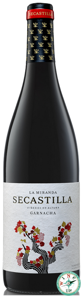 LA MIRANDA DE SECASTILLA 2022