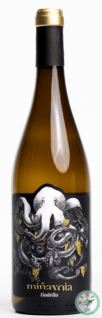 MIÑAXOIA GODELLO 2024