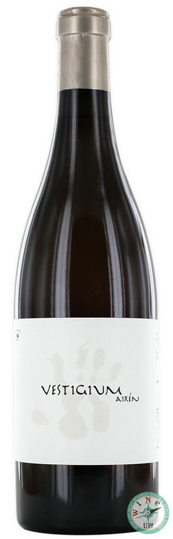 LLÁMALO X TINTO 2023