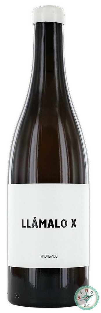 LLÁMALO X BLANCO 2024