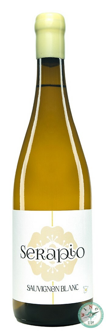 SERAPIO SAUVIGNON BLANC 2024