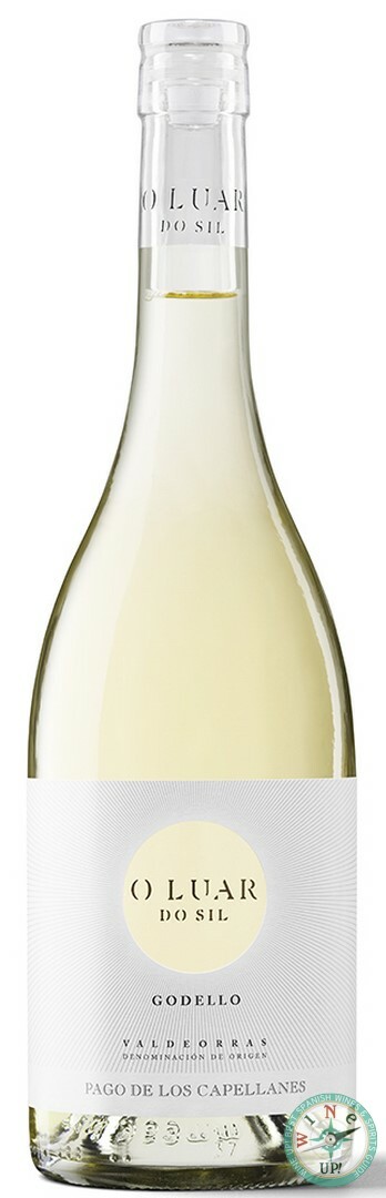 O LUAR DO SIL GODELLO 2024