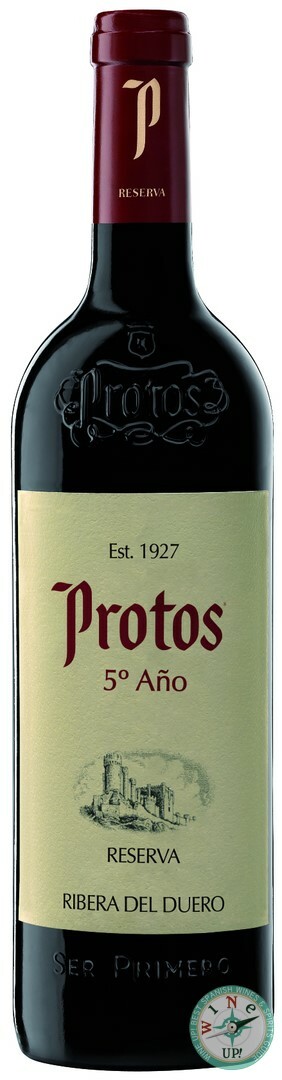PROTOS 5º AÑO 2019