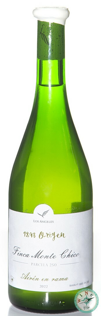 1298 ORIGEN FINCA MONTE CHICO AIRÉN 2023