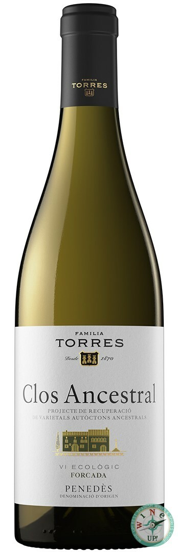 CLOS ANCESTRAL BLANCO 2024