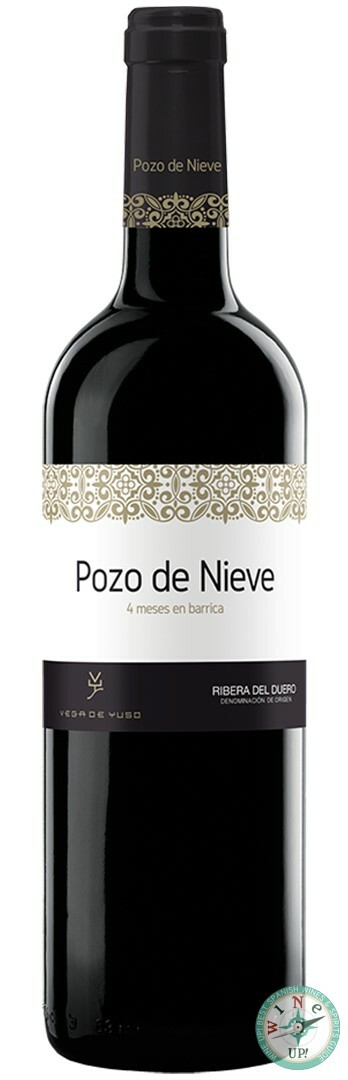 POZO DE NIEVE 2023