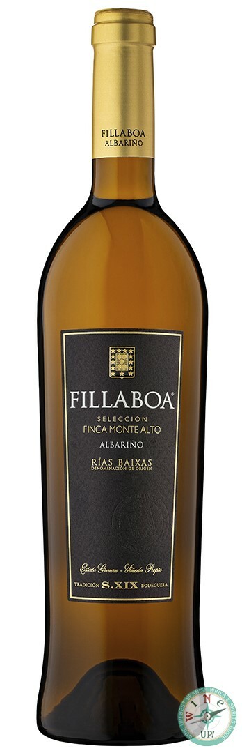 FILLABOA SELECCIÓN FINCA MONTE ALTO 2022