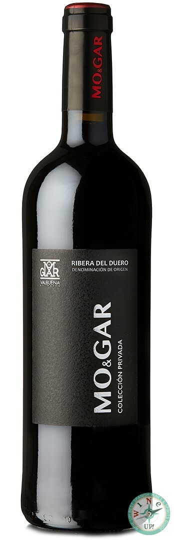 MO&GAR COLECCIÓN PRIVADA 2019