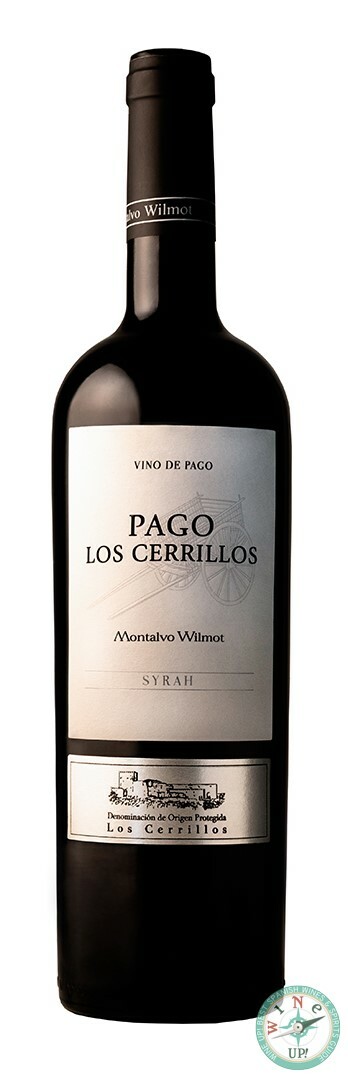 PAGO LOS CERRILLOS SYRAH 2021