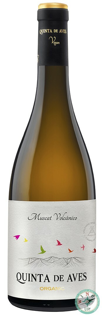 QUINTA DE AVES MUSCAT VOLCÁNICO 2024