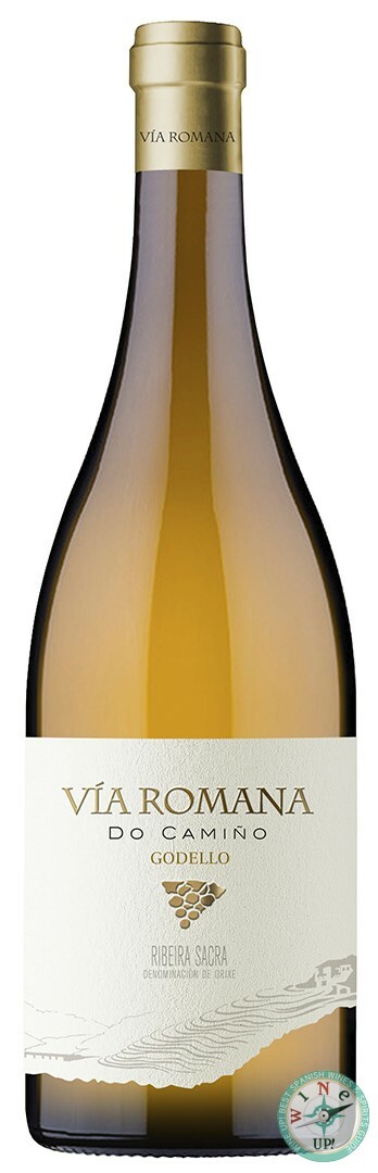 VÍA ROMANA DO CAMIÑO GODELLO 2023