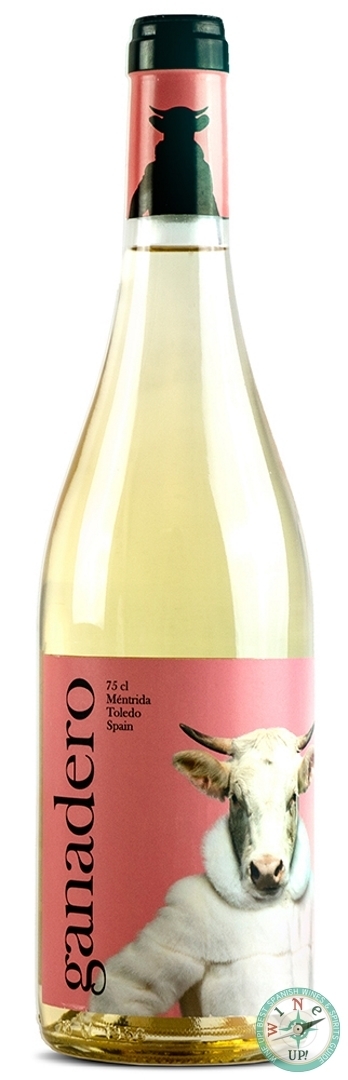 GANADERO BLANCO 2024