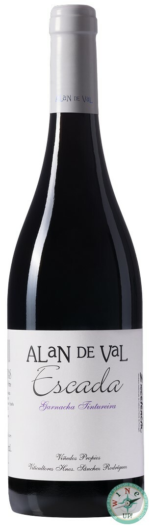 ALAN DE VAL ESCADA 2022