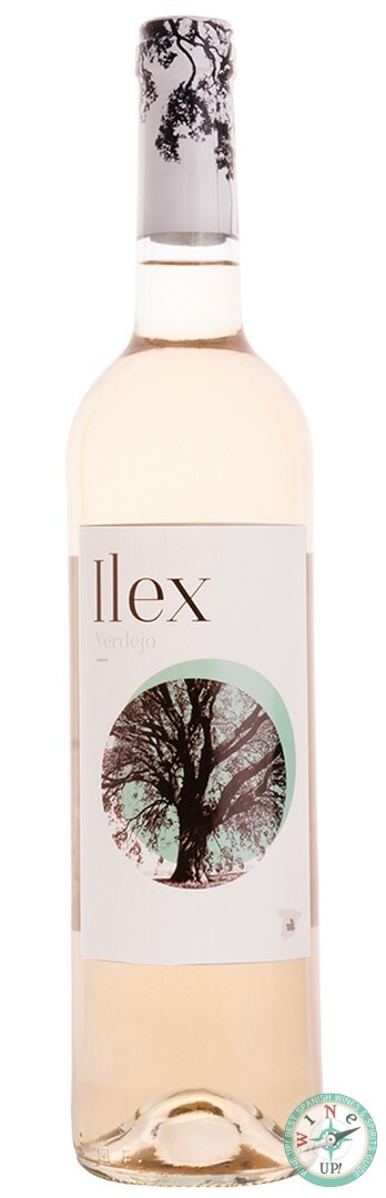 ILEX VERDEJO 2024