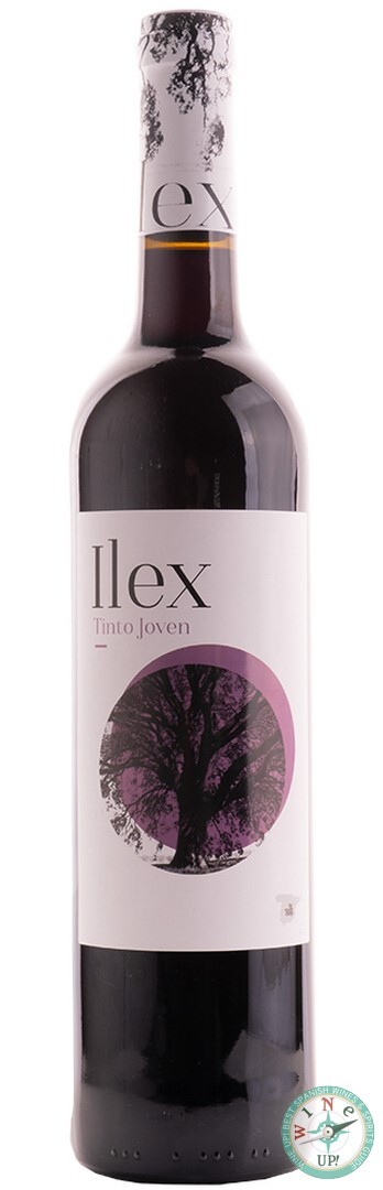 ILEX TINTO 2024