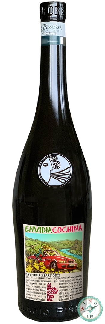 ENVIDIA COCHINA 2023