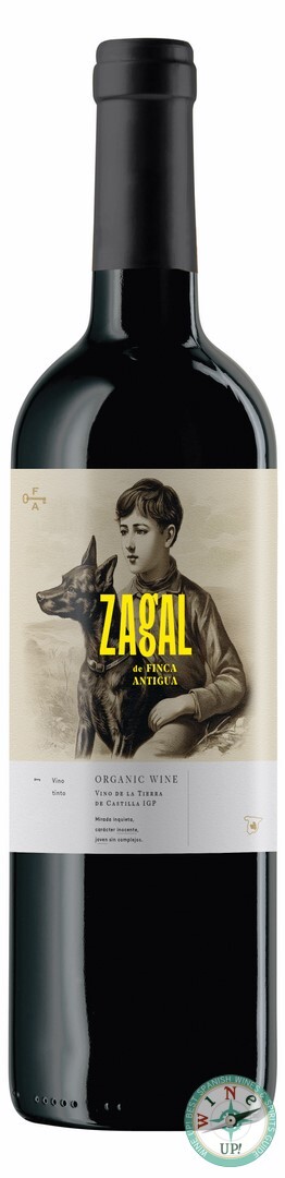 ZAGAL DE FINCA ANTIGUA 2023