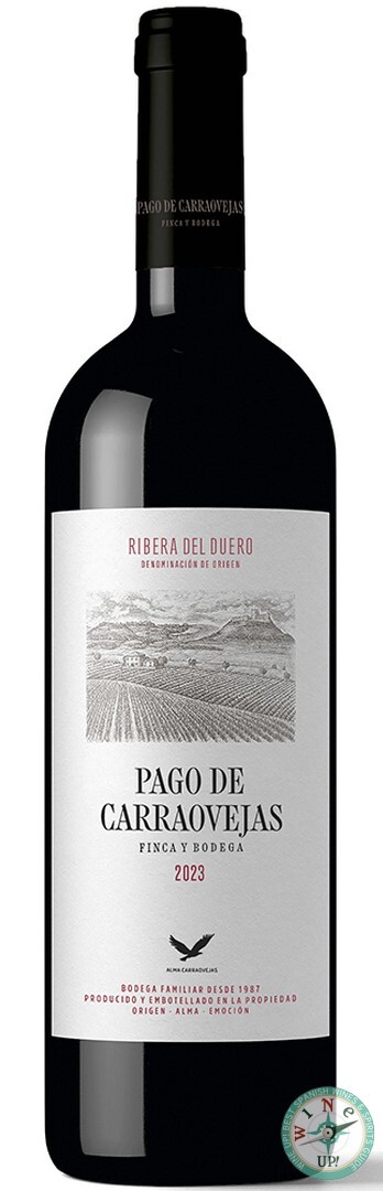 PAGO DE CARRAOVEJAS 2023