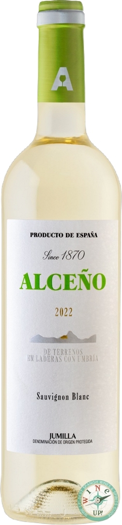ALCEÑO BLANCO 2024