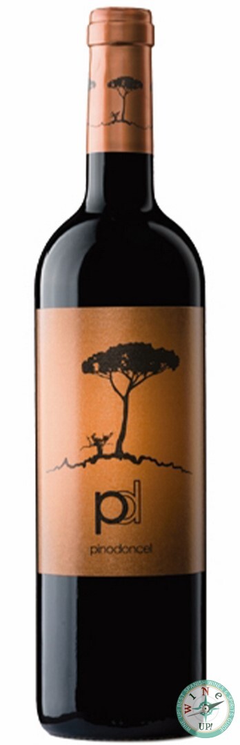 PINO DONCEL VINTAGE (CATA 2025)