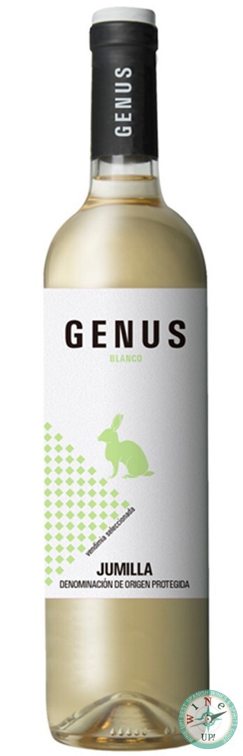 GENUS BLANCO 2024