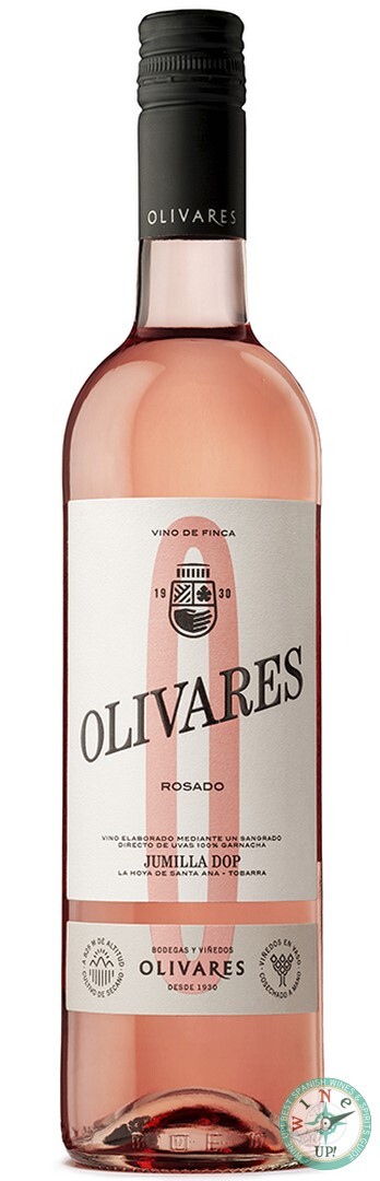 OLIVARES ROSADO 2024