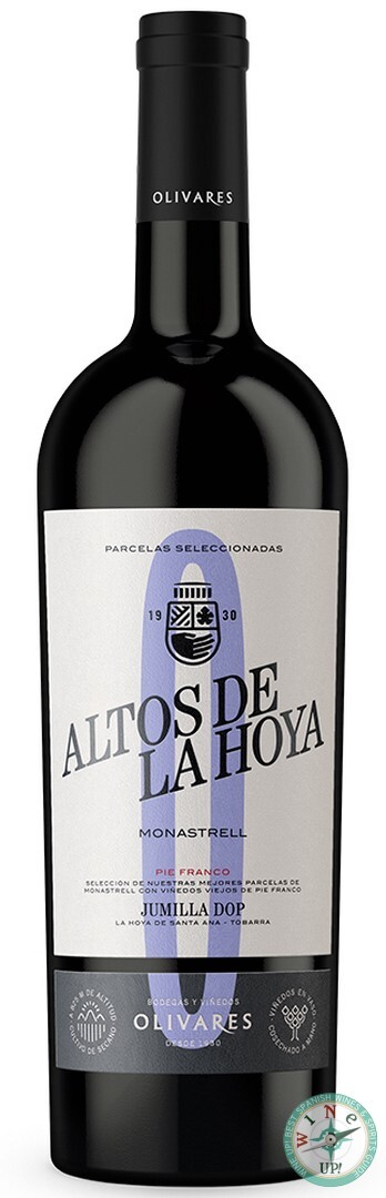 ALTOS DE LA HOYA 2023