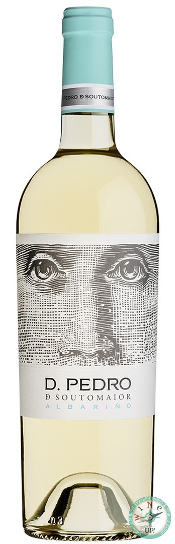 D. PEDRO DE SOUTOMAIOR 2024