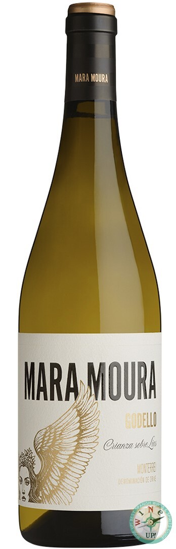 MARA MOURA GODELLO 2023