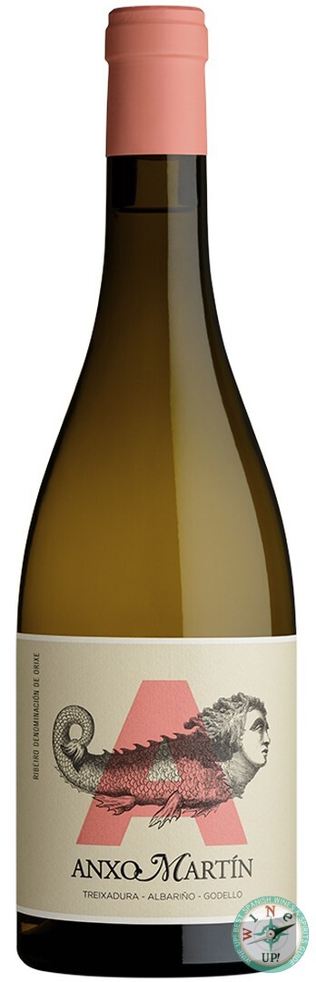ANXO MARTÍN 2023