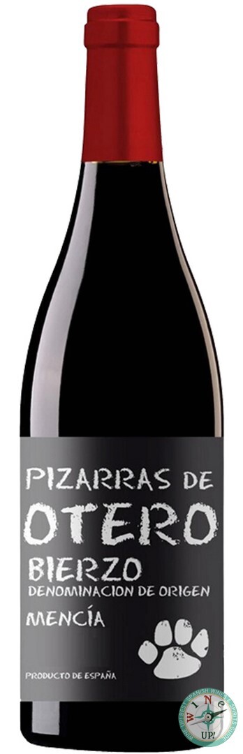 PIZARRAS DE OTERO 2024