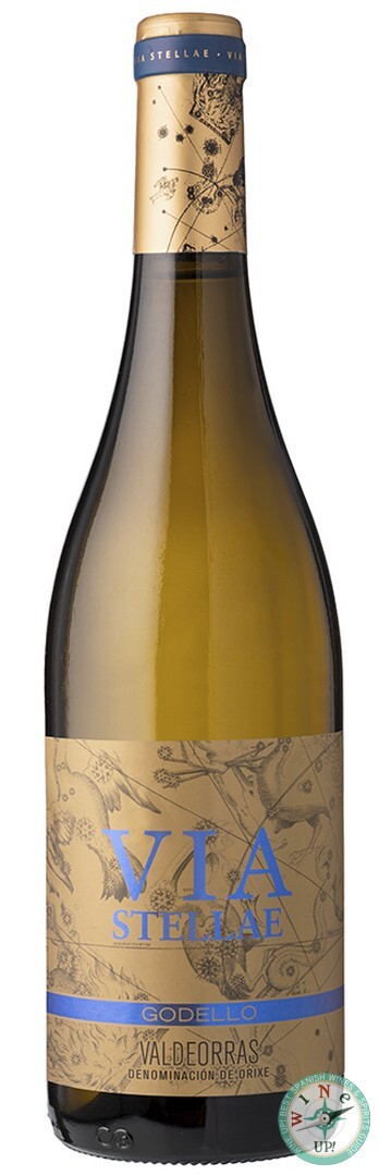 VÍA STELLAE GODELLO 2024